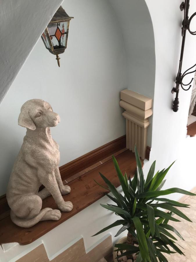 Lilly Bed & Breakfast Сулмона Екстериор снимка